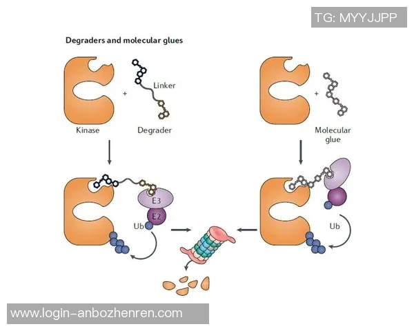 赖斯的外交策略与全球影响力分析：从历史到未来的深度探讨